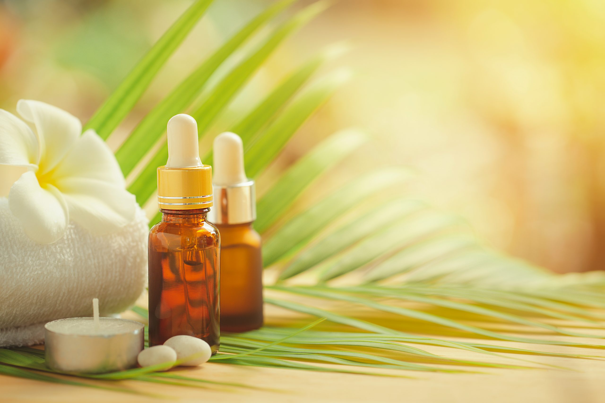 서귀포 동부 성산 표선 출장